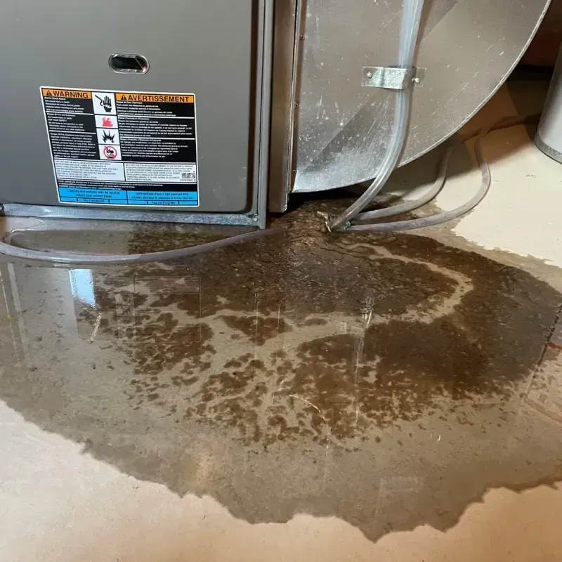 Appliance Leak Cleanup in Quartzsite, AZ